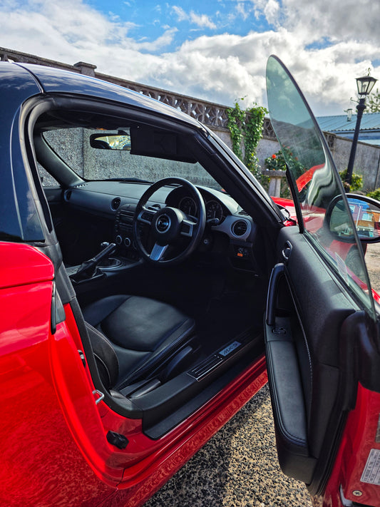 Interior Detailing - Signature Leather Clean and Condition