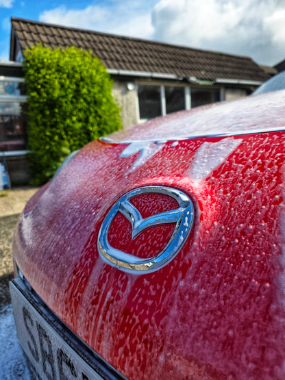 Exterior Detail | Clean and Rust Protect