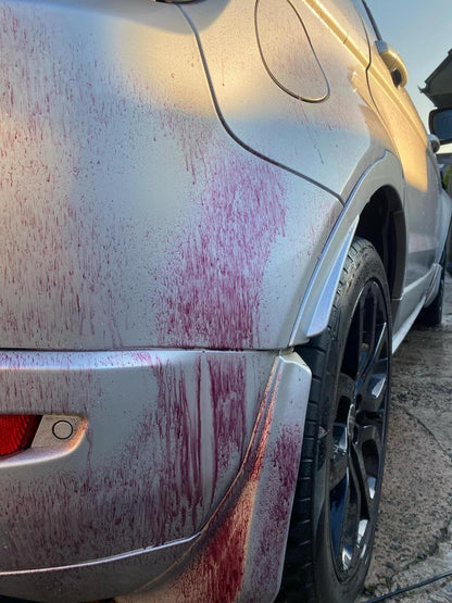 Exterior Detail | Clean and Rust Protect