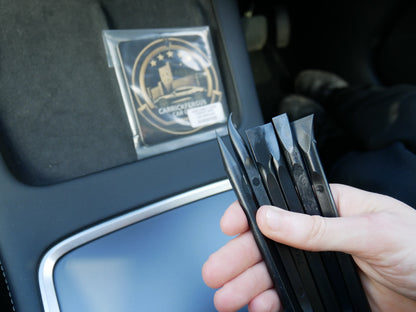 Professional Detailing Pick Set